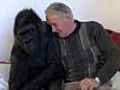 French couple share their home with a gorilla | BahVideo.com