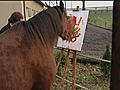 Horse paints amp 039 masterpiece amp 039  | BahVideo.com