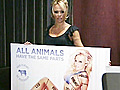 Latest No PETA permit CTV News Channel Genevieve Beauchemin on local reaction | BahVideo.com