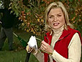 Surviving autumn allergies | BahVideo.com