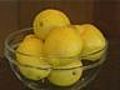 Lemonade diet resurfaces | BahVideo.com