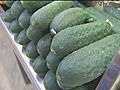 Cucumber bacteria kills 14 | BahVideo.com