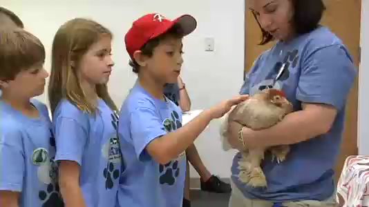 Kids Learn About Zoo Animals Thanks To Bergen Country Parks Department | BahVideo.com