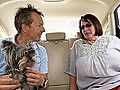 Fiffi und Co unterwegs Wenn Hunden im Auto schlecht  | BahVideo.com