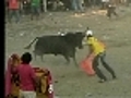 Bulls gone wild in Colombia | BahVideo.com