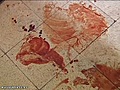 Muere apu alado en Nou Barris | BahVideo.com