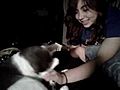 cat eating me  | BahVideo.com