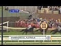 Horse jumps into crowd | BahVideo.com
