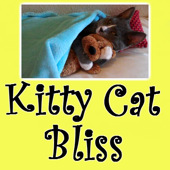 Big Fluffy Kitteh Demands Yogurt | BahVideo.com