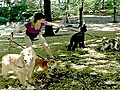 Sara learns the ropes of dog walking | BahVideo.com