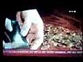 Dagobert Duck und die 20 Cent M nzen | BahVideo.com