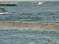 Royalty Free Stock Video HD Footage Waves Crashing Over Sea Wall at Waikiki Beach in Honolulu Hawaii | BahVideo.com