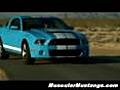 Beautiful 2010 Shelby GT500 | BahVideo.com