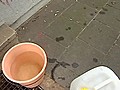 Mieter ohne flie end Wasser | BahVideo.com
