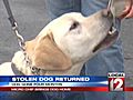 Stolen Dog Returns After Four Months | BahVideo.com