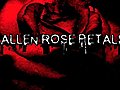 Fallen Rose Petals | BahVideo.com
