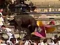 Bull Attack | BahVideo.com