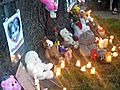 Hundreds Gather For Vigil For 5-Year-Old Girl | BahVideo.com