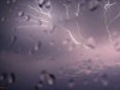 Spider Lightning | BahVideo.com