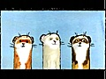 Ferret dance A series of tubes  | BahVideo.com