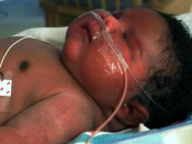 Big 16-pound baby born in Texas | BahVideo.com