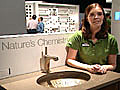 New Decorative Sinks | BahVideo.com
