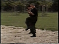 Hardest Kick and Backfist by Sensei Arie van  | BahVideo.com