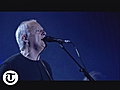 David Gilmour | BahVideo.com