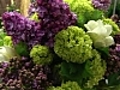 R aliser un bouquet de lilas et de freesia | BahVideo.com
