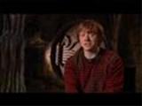 Harry Potter and the Deathly Hallows Part II - Rupert Grint Interview | BahVideo.com