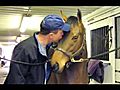 George Mallet Shares His Love For Horses | BahVideo.com