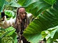  amp quot Fluch der Karibik 4 amp quot Gef hrliche Dreharbeiten f r Johnny Depp | BahVideo.com