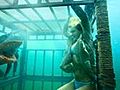 Shark Night 3D Teaser Trailer | BahVideo.com