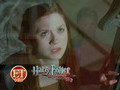 A Look Back At The Cast of amp 039 Harry Potter amp 039 Over The Years | BahVideo.com