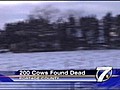 Cows Die in Wisc | BahVideo.com
