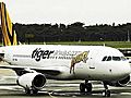 Tiger August flights can be cancelled | BahVideo.com