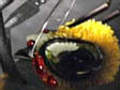 Bitfilm Evil Bee  | BahVideo.com