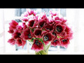 How to make flowers last longer | BahVideo.com