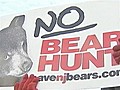 Battle over bear hunt | BahVideo.com