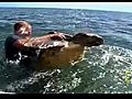 Human rapes Turtle | BahVideo.com