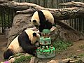 Panda Birthday 2008 | BahVideo.com
