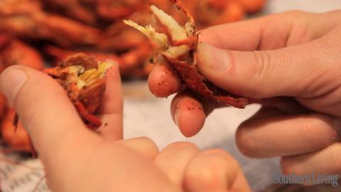 How to Eat Crawfish | BahVideo.com