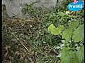Pourquoi comment le composte et la composti re | BahVideo.com