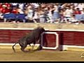 SHOCKING - BULL JUMPS INTO STANDS TRAMPLES FANS  | BahVideo.com