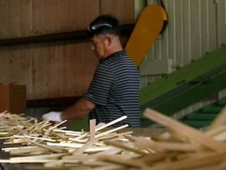 Georgia Company Exports Chopsticks to China | BahVideo.com