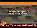 Prescription Painkillers for Dog Arthritis  | BahVideo.com