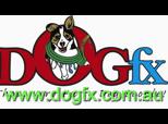 Dog Collars | BahVideo.com