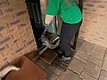 Krokodil wohnt bei Frauchen im Haus | BahVideo.com