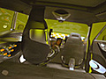 Renault Frendzy ai raggi X | BahVideo.com