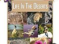 Ecology Life In The Deserts | BahVideo.com